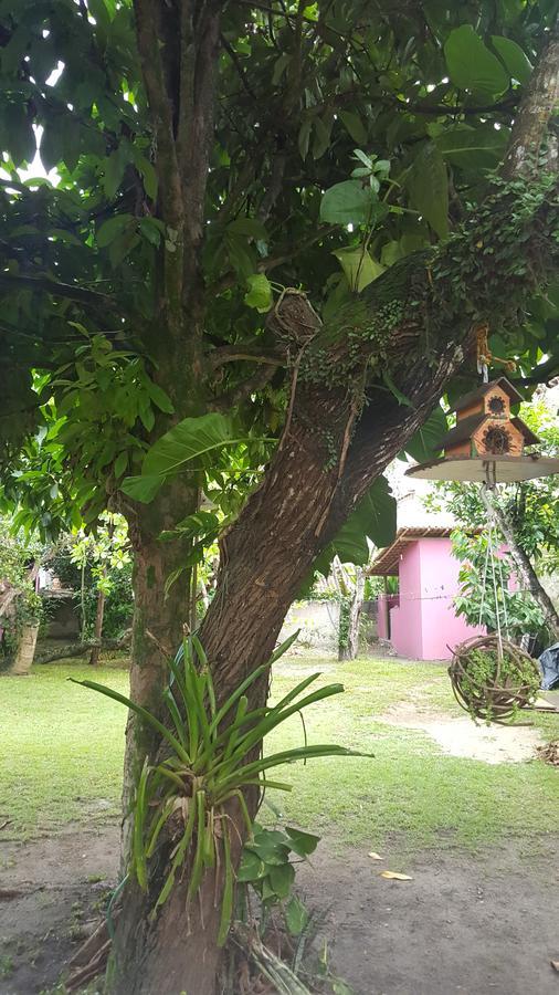 Pousada Grafite Trancoso Eksteriør bilde